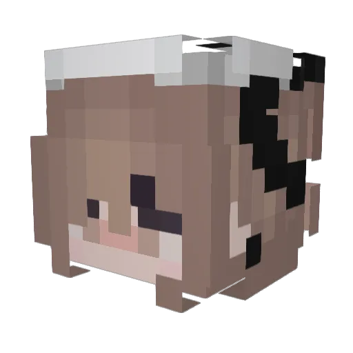 iNinym Minecraft avatar head, 3D render
