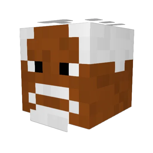 iNoVai Minecraft avatar head, 3D render