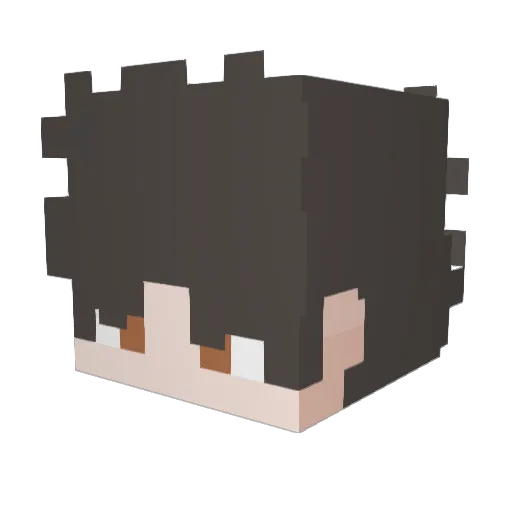 Minecraft-Avatar von iNora2008: Kopf als 3D-Render