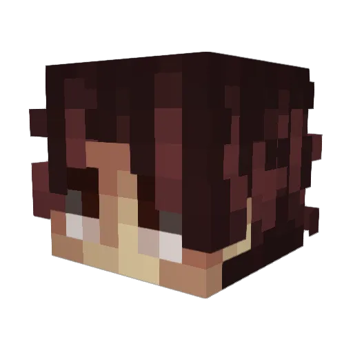 iNova_ Minecraft avatar head, 3D render