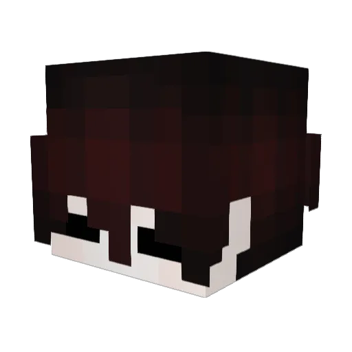 iNtheeeh_ Minecraft avatar head, 3D render