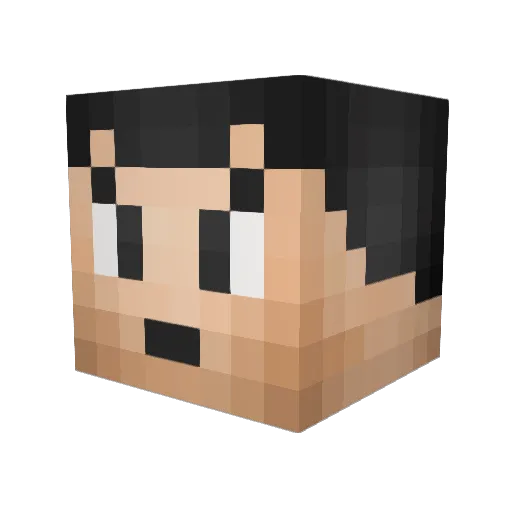 iOpa_ Minecraft avatar head, 3D render
