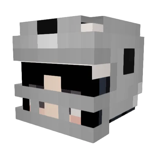 iOwnRazer Minecraft avatar head, 3D render
