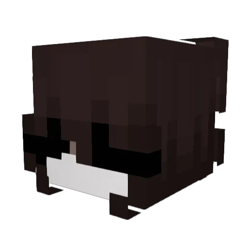 iPHP2 Minecraft avatar head, 3D render