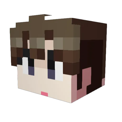 iPadri Minecraft avatar head, 3D render