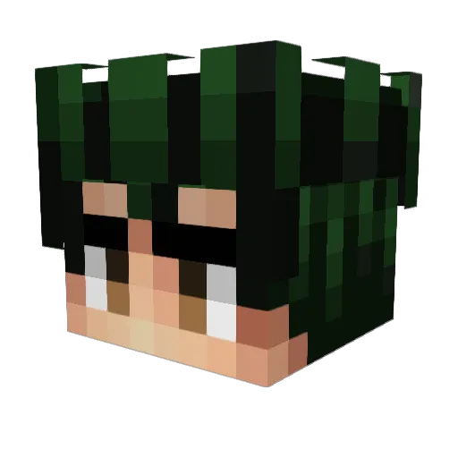 iPandaas Minecraft avatar head, 3D render