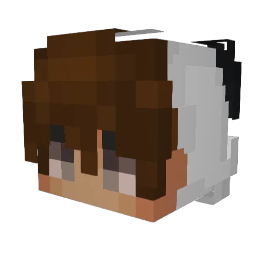 iPandeh Minecraft avatar head, 3D render