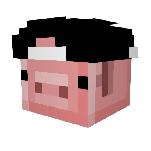 iPiggy Minecraft avatar head, 3D render