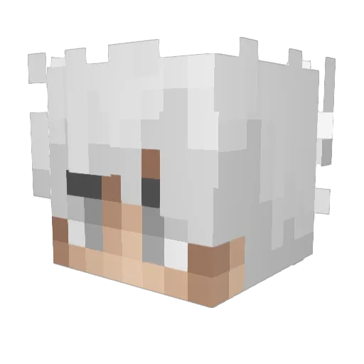iPoleStar Minecraft avatar head, 3D render