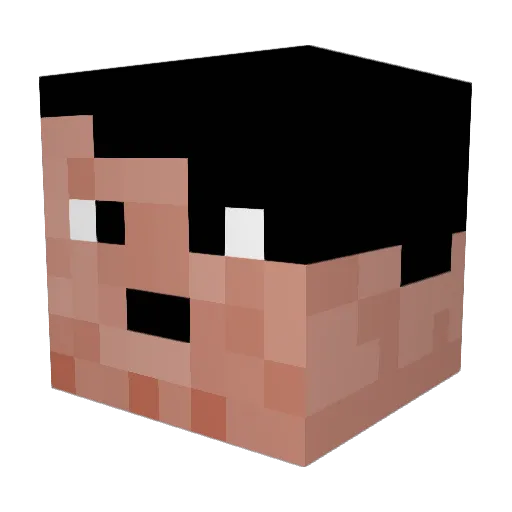 iPoopBricks69 Minecraft avatar head, 3D render