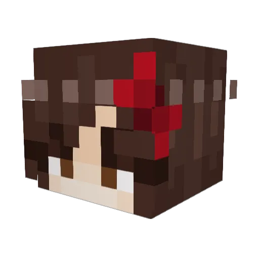 iPoopLegos Minecraft avatar head, 3D render