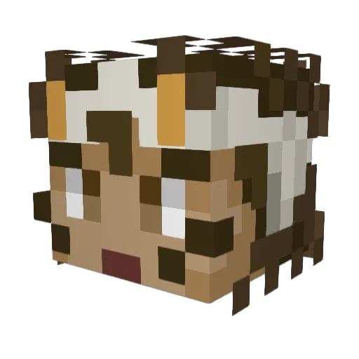 iPotatoTim Minecraft avatar head, 3D render