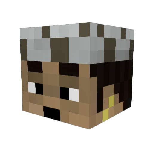 iPriNzxP4IN Minecraft avatar head, 3D render