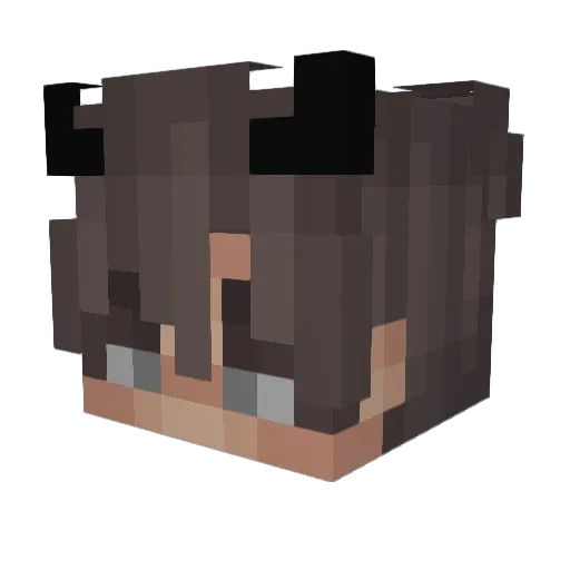 iPung_Strqfee Minecraft avatar head, 3D render