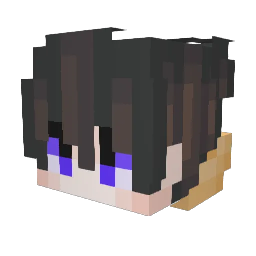 iPurge_ Minecraft avatar head, 3D render
