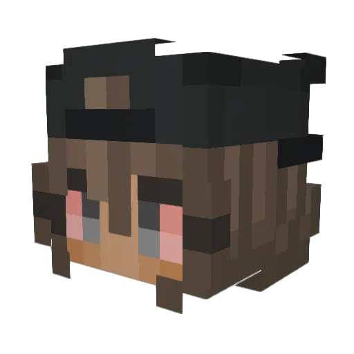 iREKTIFY Minecraft avatar head, 3D render