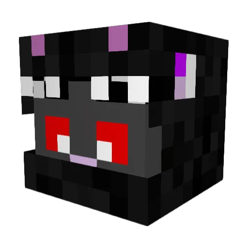 iROWX_BR Minecraft avatar head, 3D render