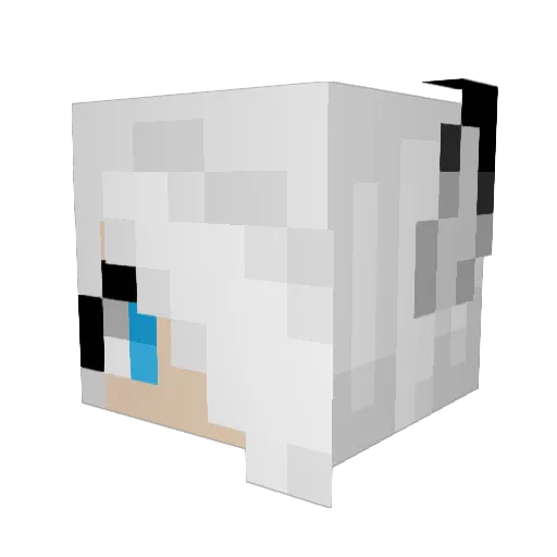 iRTuan Minecraft avatar head, 3D render
