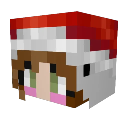 iRafe Minecraft avatar head, 3D render