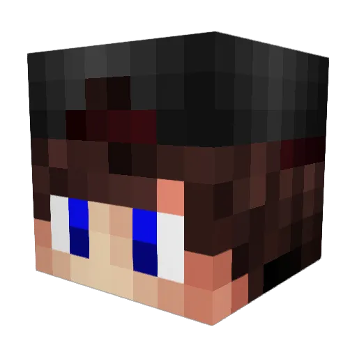 iRainbowBoyTRV2 Minecraft avatar head, 3D render