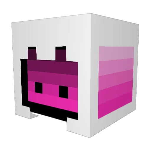 iRavenn Minecraft avatar head, 3D render