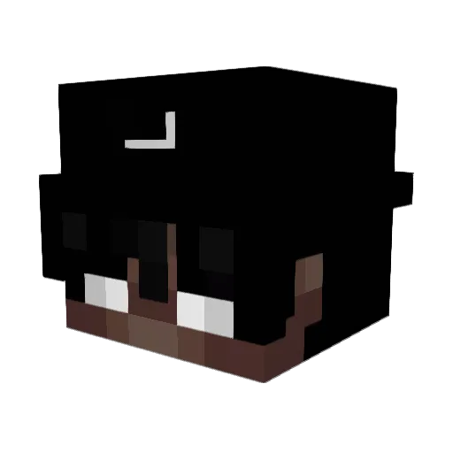 iRawrFrogs Minecraft avatar head, 3D render