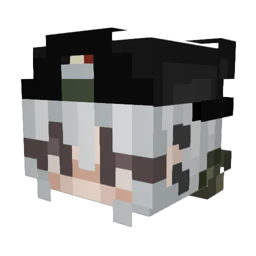 iReinx Minecraft avatar head, 3D render