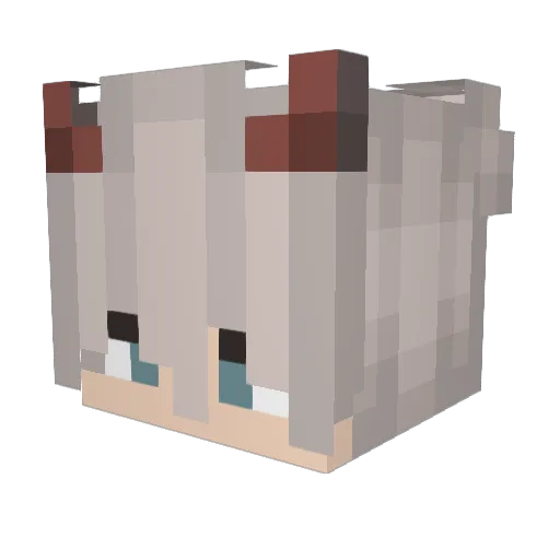 iRektClient Minecraft avatar head, 3D render