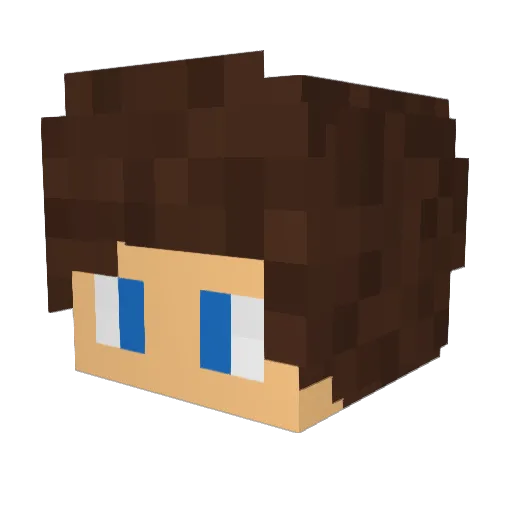 iRex_14 Minecraft avatar head, 3D render