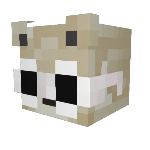 iRhex_ Minecraft avatar head, 3D render