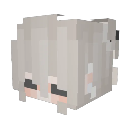 iRhye Minecraft avatar head, 3D render