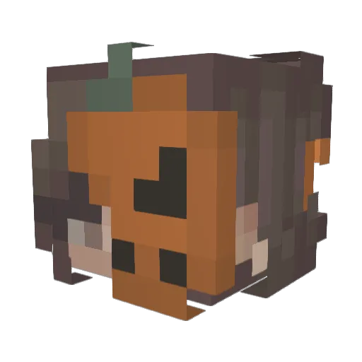 iRiiiii Minecraft avatar head, 3D render