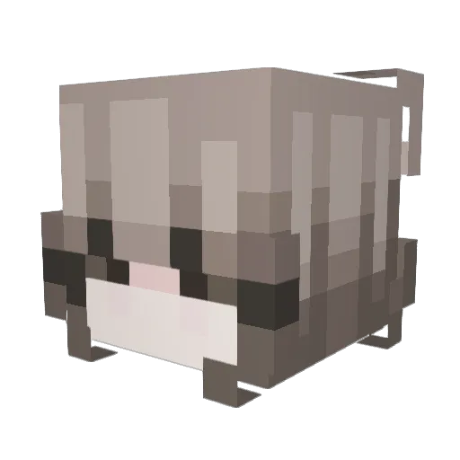 iRwmy Minecraft avatar head, 3D render