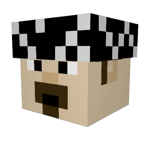iS_Fi Minecraft avatar head, 3D render