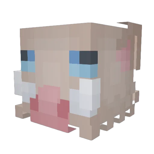 iSalloo Minecraft avatar head, 3D render