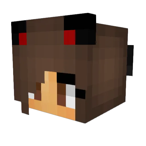 iSametWinnerYT Minecraft avatar head, 3D render