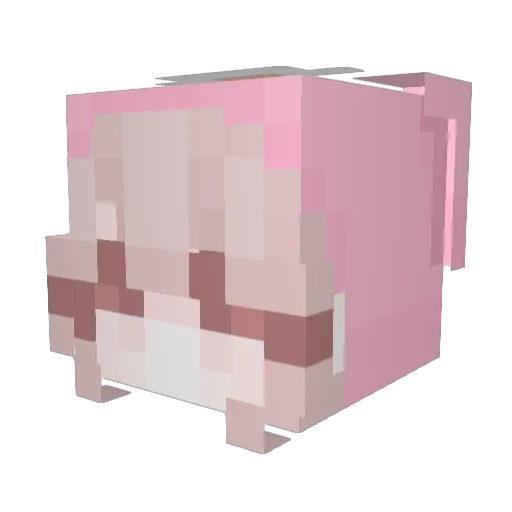 iSamluv01 Minecraft avatar head, 3D render