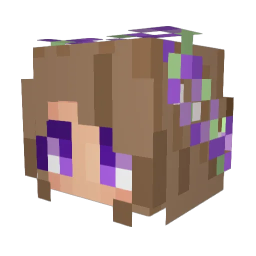 iSassie Minecraft avatar head, 3D render