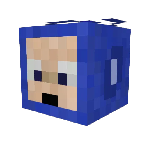 iSayNeverSay Minecraft avatar head, 3D render