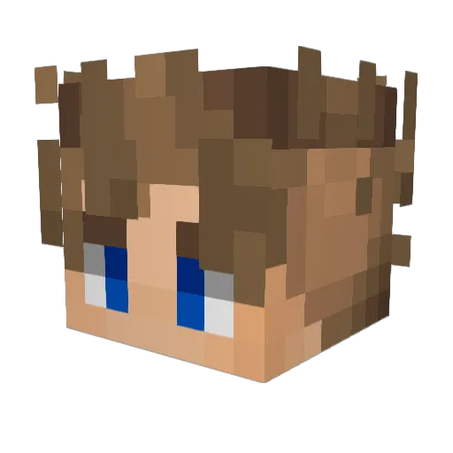 iSelio_ Minecraft avatar head, 3D render