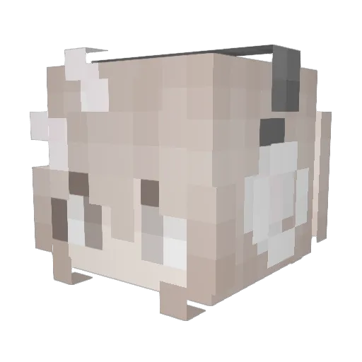 iSethh Minecraft avatar head, 3D render