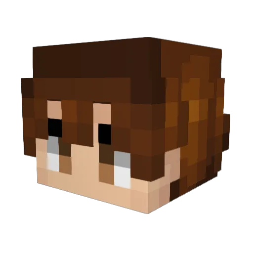 iShady Minecraft avatar head, 3D render