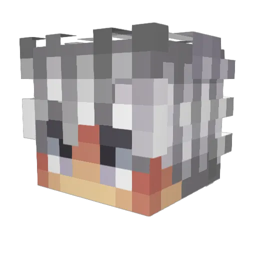 iShane_ Minecraft avatar head, 3D render