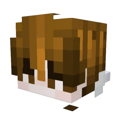 iSkrubs Minecraft avatar head, 3D render