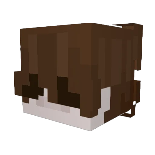iSnc Minecraft avatar head, 3D render