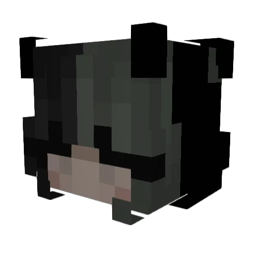 iSpitInYourMilk Minecraft avatar head, 3D render