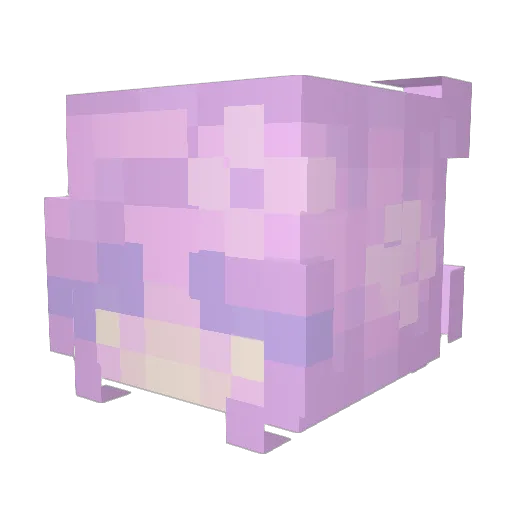 iStarlilly3 Minecraft avatar head, 3D render