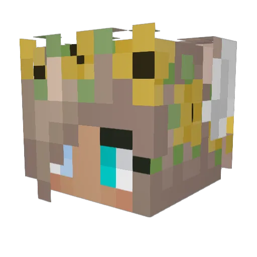 iStoleYourBike23 Minecraft avatar head, 3D render