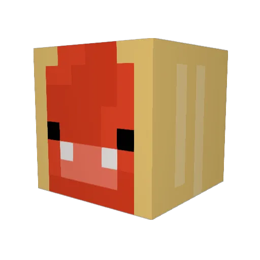 iSumter Minecraft avatar head, 3D render