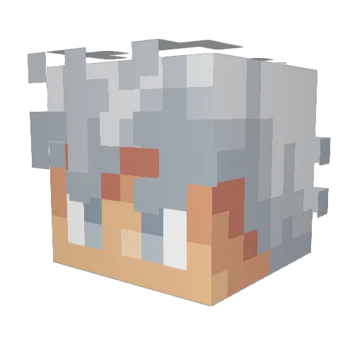 iSuper4 Minecraft avatar head, 3D render